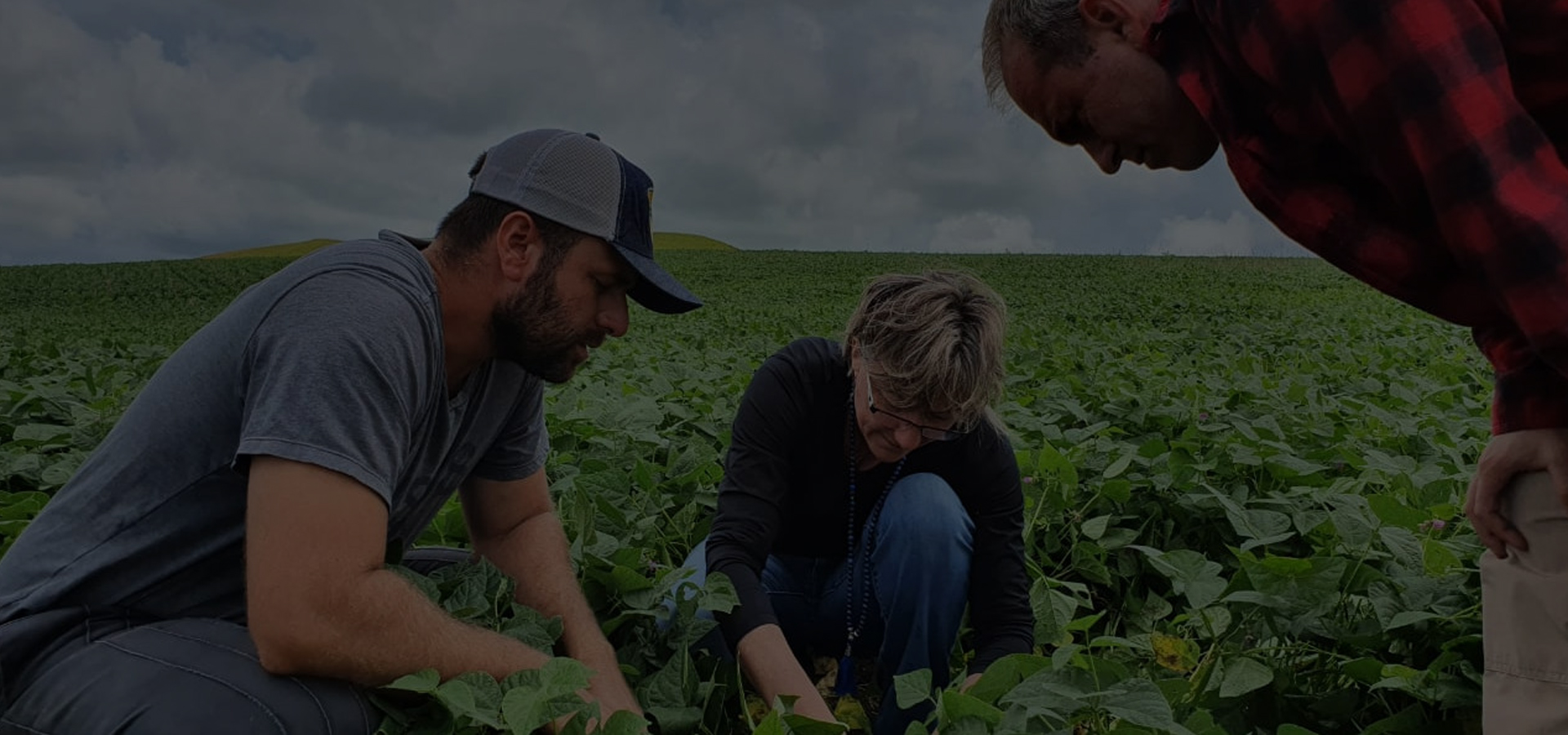 Agricultura Planetária Sustentável